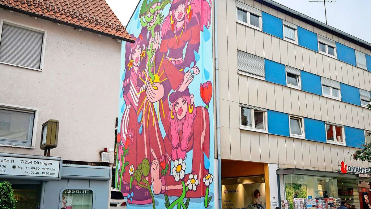 Streetart in Ditzingen: Fassadenkunst soll Fortsetzung finden
