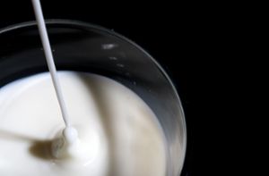 Milchprodukte werden noch teurer