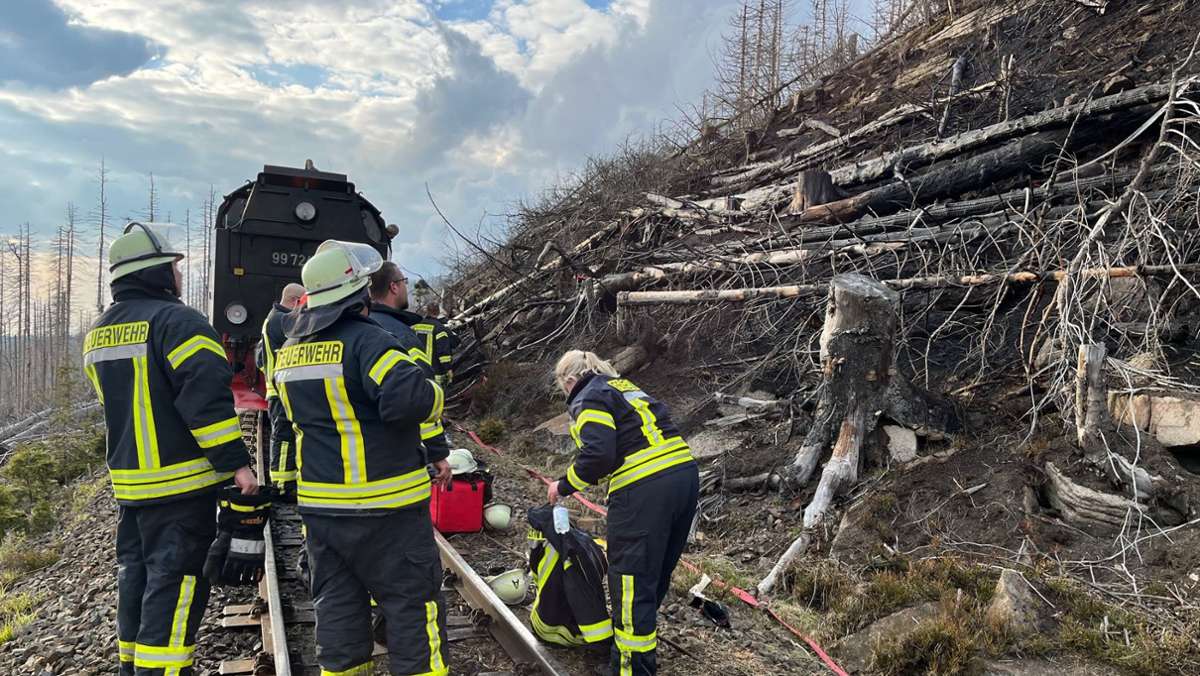 Feuerwehr im Dauereinsatz: Großfeuer im Nationalpark Harz