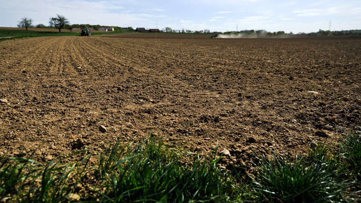 Bei Kenzingen: Landwirt findet stark verweste Leiche auf Feld