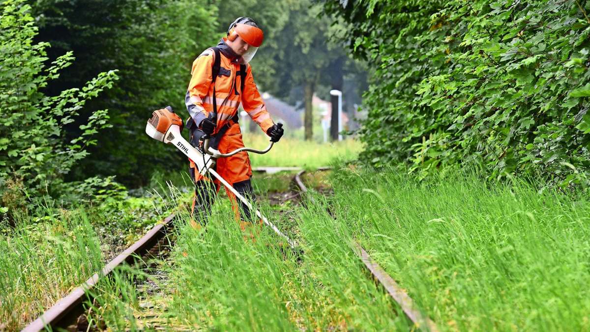  Naturschützer sind sich einig: Das Unkrautvernichtungsmittel trägt maßgeblich zum Artensterben bei. Doch entlang von Bahnstrecken gilt es wegen der Sicherheit bisher als unverzichtbar. Forscher aus Stuttgart-Hohenheim wollen das nun ändern. 