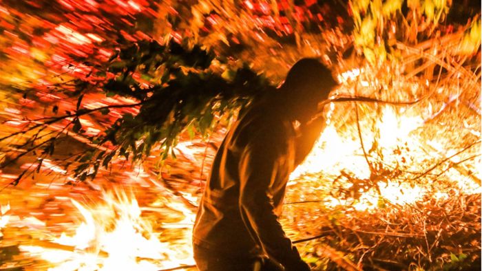 Waldbrände sorgen für Rekord-CO2-Emissionen im Amazonas
