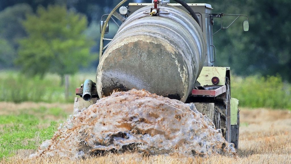 Streit um Düngemittelverordnung: Bauern fühlen sich unfair behandelt