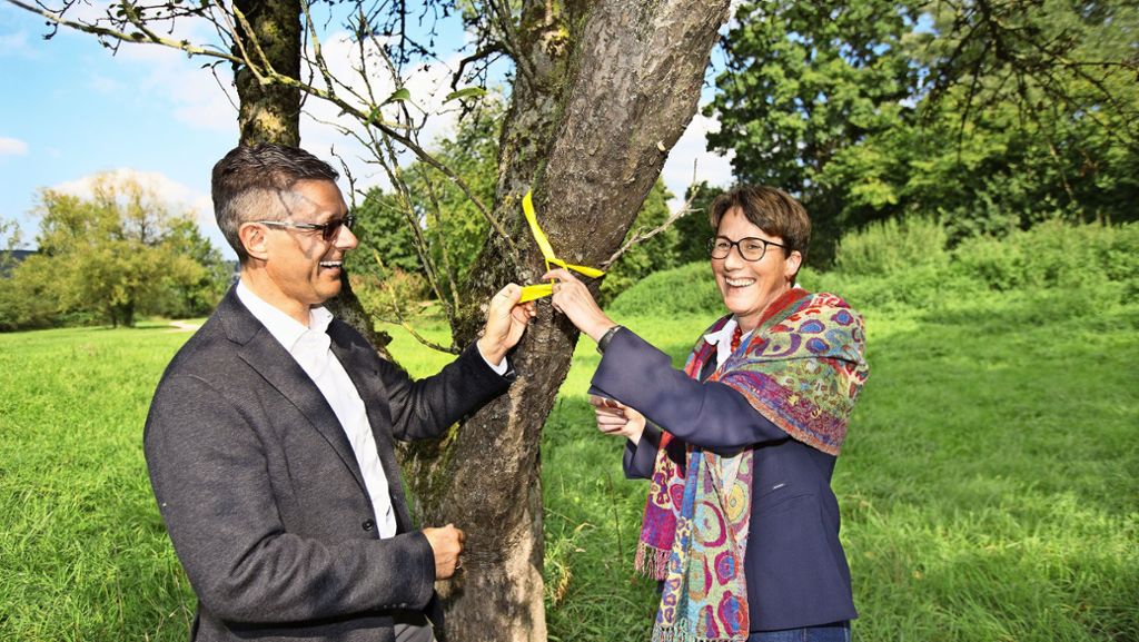 Streuobst im Kreis Esslingen: Äpfel von Bändel-Bäumen sind für alle da