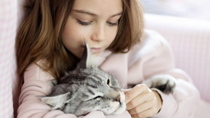 Haustier schützen: Zehn Fakten über Katzen