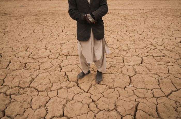 Extreme Dürre in Europa alle 20 Jahre zu erwarten