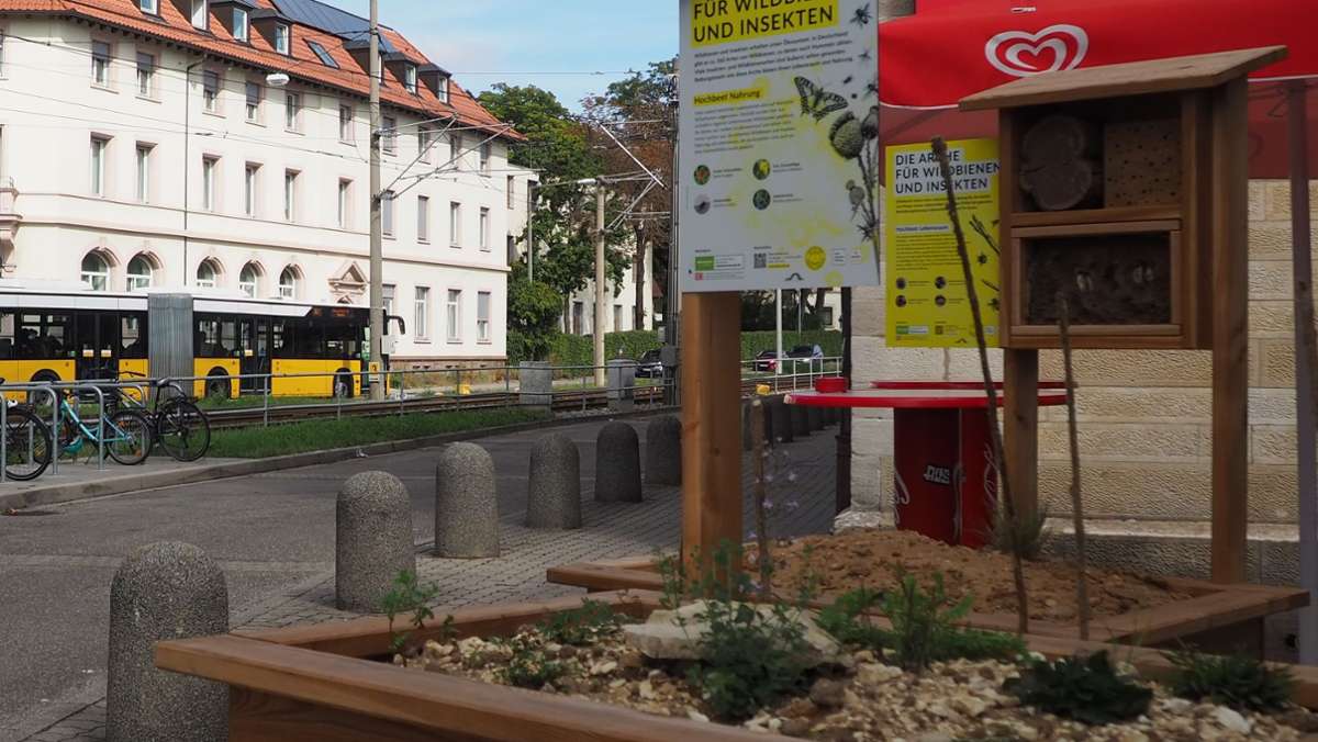 Artenschutz in Vaihingen: Neue  Wildbienen-Arche am Bahnhof