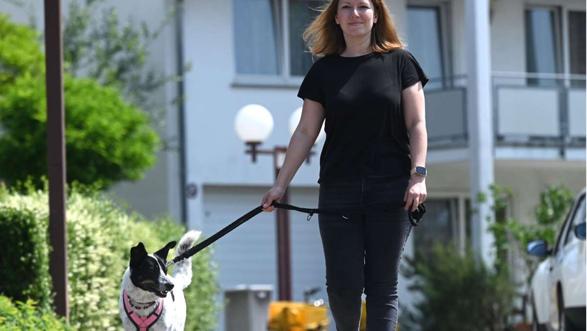 Aggression gegen andere Hunde: Hundetrainerin hilft Besitzer und Vierbeiner