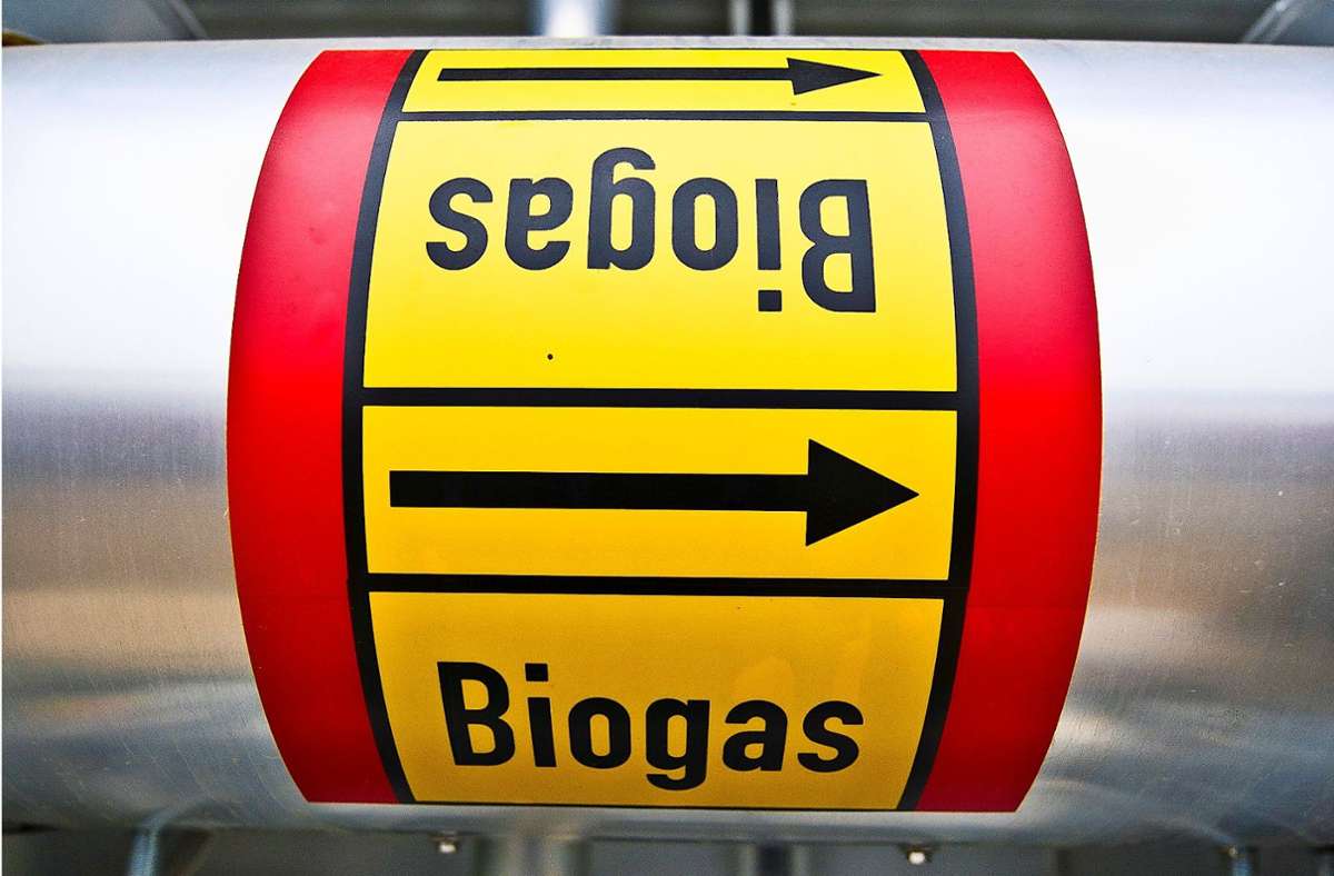 Frühestens 2022 kann in Zuffenhausen Biogas produziert werden. Foto: dpa/Nicolas Armer