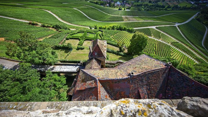 Burg Lichtenberg in Oberstenfeld: Ist eine Einigung für einen Biergarten auf der Burg in Sicht?