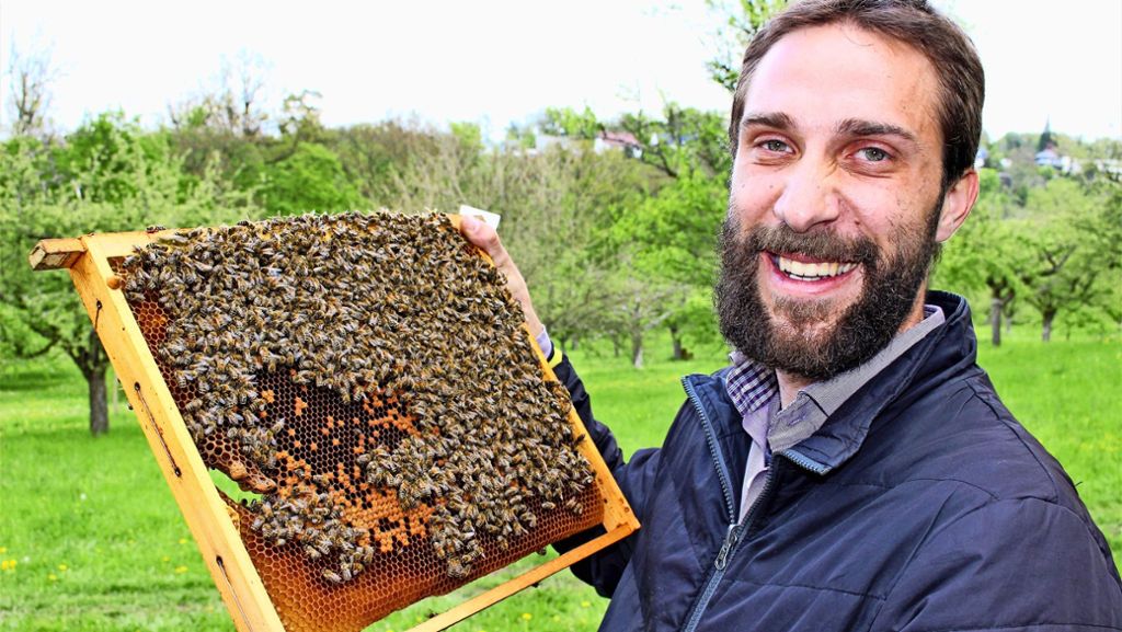 Ein Besuch beim Imker: Bei Regen müssen die Bienen darben