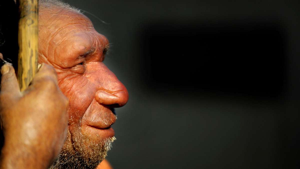 Evolutionäre Anthropologie: Als die modernen Menschen auf Neandertaler trafen