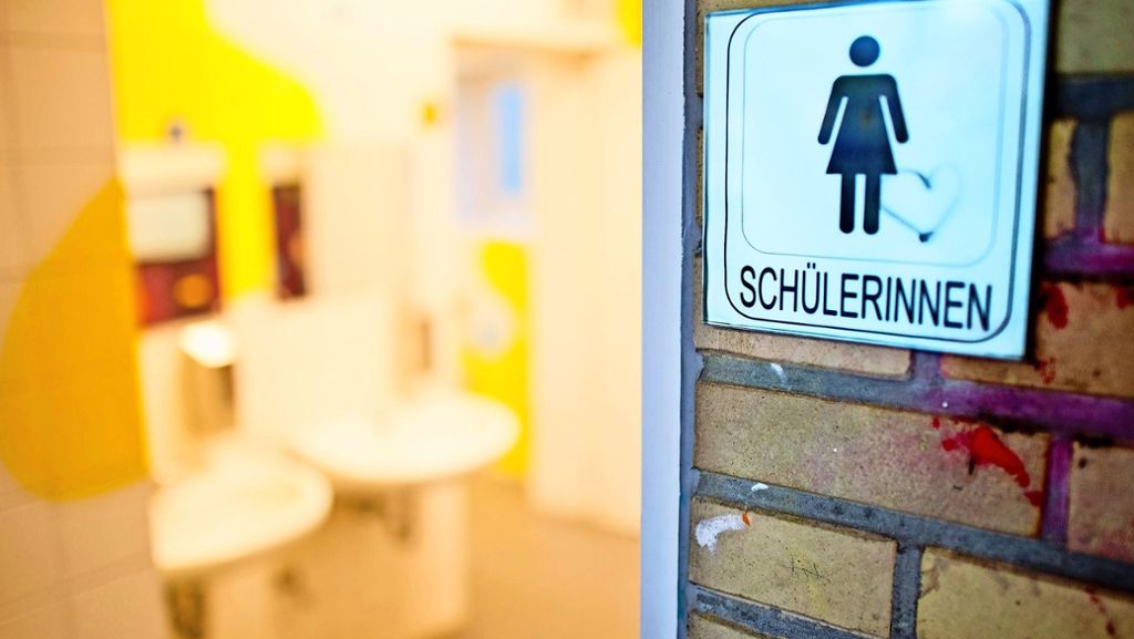 Schulzentrum  Glemsaue Ditzingen: Jugendgemeinderat kritisiert Zustand von Schultoiletten