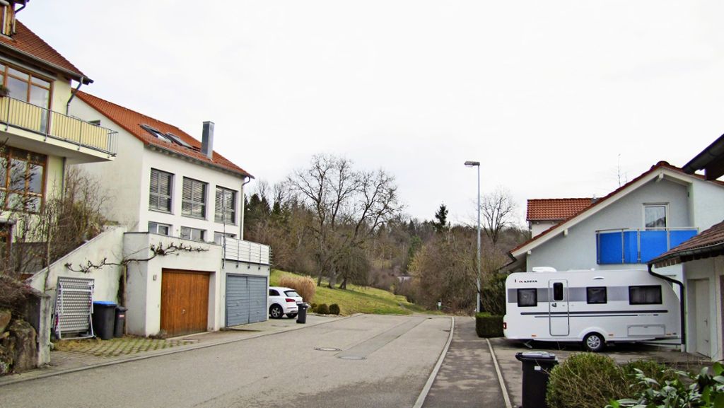 Wohnungsbau in Waldenbuch: Die Stadt macht beim Neubaugebiet Liebenau VII ernst