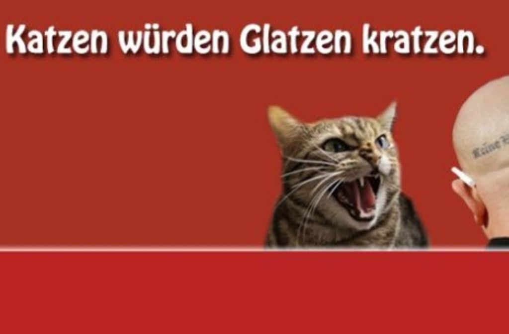 Stubentiger gegen Neonazis: Auf der Facebook-Seite „Katzen gegen Glatzen“ bekommen Radikale Kontra in Form von Katzenfotos. Foto: Facebook/StZ