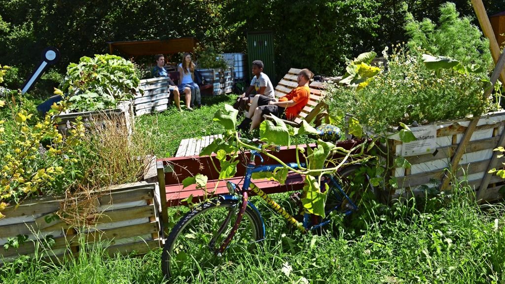 Mitmachgarten in Stuttgart-Vaihingen: Wenn Studenten zu Gärtnern werden