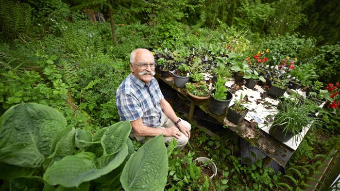 Kleine Paradiese im Rems-Murr-Kreis: 90-Jähriger werkelt in  Gartenoase in Kernen