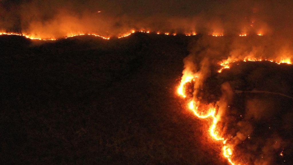 Waldbrände am Amazonas: Hunderte neue Feuer in Brasilien