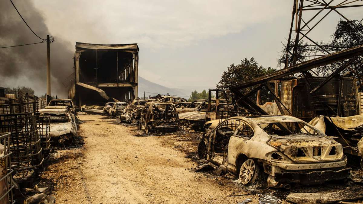 Brände in Griechenland: Eine Spur der Zerstörung