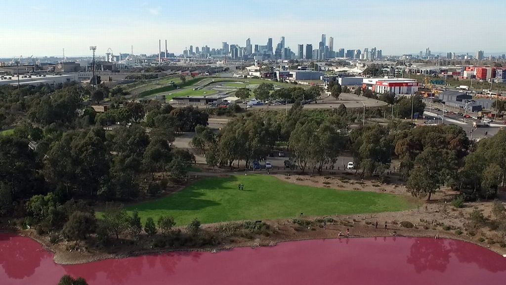Naturschauspiel in Melbourne: See erstrahlt in knalligem Pink