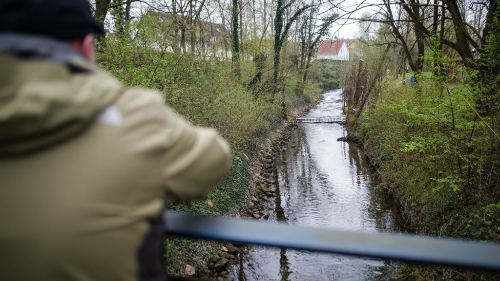  Zwei Mitarbeiter einer Spedition sollen Schuld an dem Giftunfall in der Schozach bei Heilbronn sein. Wurden tatsächlich alle Lebewesen in dem kleinen Fluss getötet? 