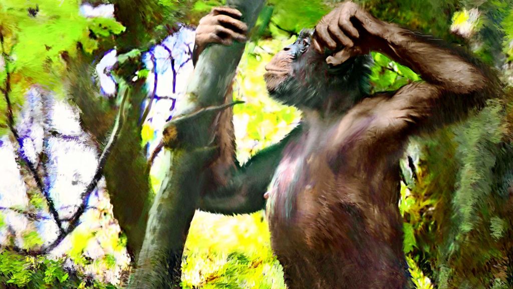  Die zwölf Millionen Jahre alten Knochen des Affenmenschen Udo werfen ein ganz neues Bild auf die Entstehung des Menschen. Die Tübinger Paläontologin Madelaine Böhme hat in Stuttgart die Geschichte ihres sensationellen Funds erzählt. 