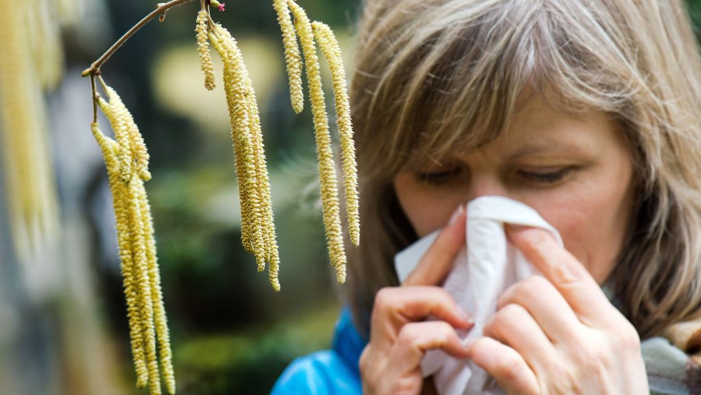 Heuschnupfen-Saison beginnt: Zahl der Allergiker in Stuttgart nimmt rasant zu