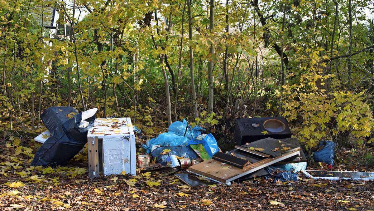  In Vaihingen/Enz gibt es derzeit viele illegale Müllablagerungen. Mit akribischer Kleinarbeit können einige Müllsünder ermittelt werden. 