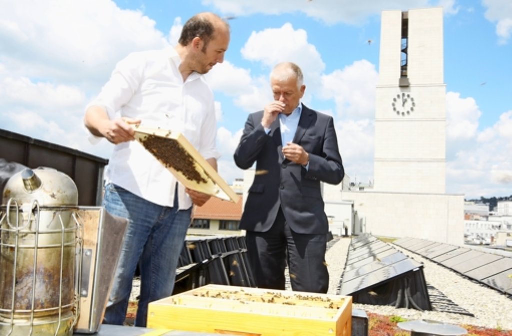 14. Mai: Auf dem Rathausdach herrscht reges Treiben: 60.000 fleißige Bienen produzieren hier den Honig der Stadt. Als einer der Ersten nascht Ob Kuhn von süßen Nektar. Hier geht es zum Artikel von damals