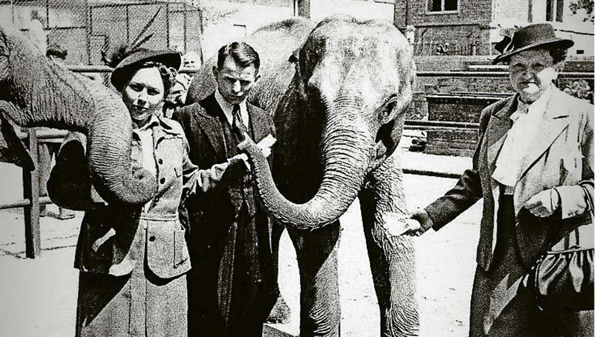  Seit 1952 leben die sensiblen Dickhäuter in der Wilhelma. Für Elefanten wird nun eine neue Welt gebaut – ein Gehege, das weltweit Maßstäbe setzt. Unser Stuttgarter Album erinnert an Publikumslieblinge mit Rüssel. 