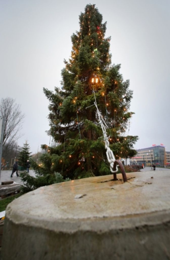 Auf dem Weihnachtsmarkt in Rostock (Mecklenburg-Vorpommern) ist der große Weihnachtsbaum an schweren Gewichten gut befestigt.