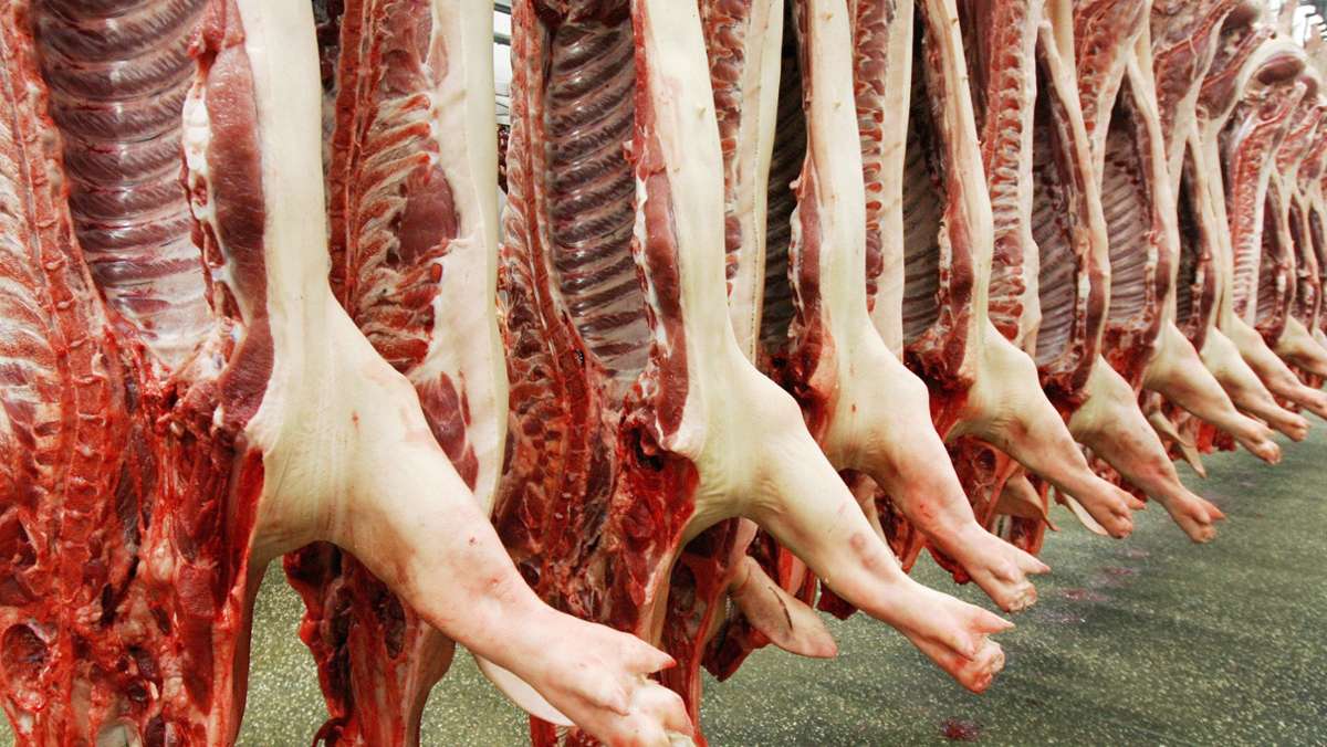 Tierschutz in Schlachthöfen: Warum die Tierärzte Minister Hauk scharf kritisieren