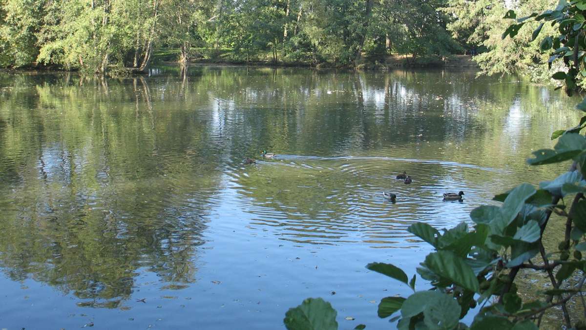 Bärensee in Filderstadt: Angler wollen mehr Schlamm aus dem See raus haben