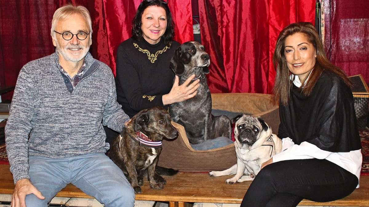 Der noch junge Verein Hundeglück Filderstadt setzt sich für Straßenhunde in der Türkei ein. Aktuell werden Spenden für Hundehütten gesammelt. Wieso das Engagement im Ausland? 