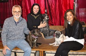 Dieser Verein hilft Tieren in Istanbul