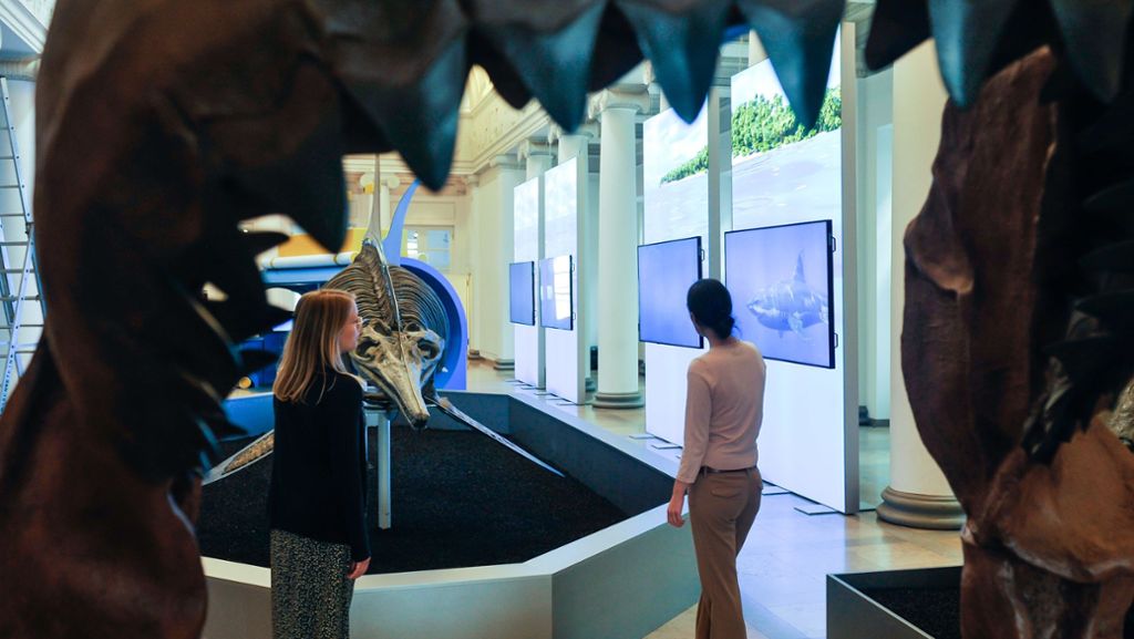 Ausstellung im Naturkundemuseum: Giganten der Meere in Stuttgart
