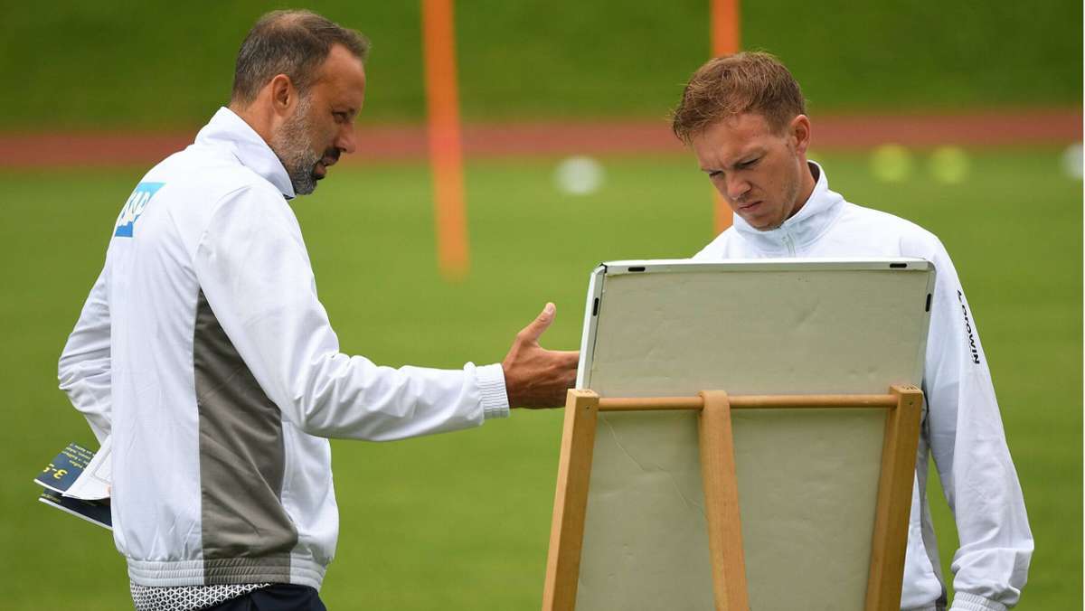 Trainer des VfB Stuttgart: Was Pellegrino Matarazzo noch mit der TSG Hoffenheim verbindet