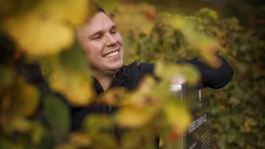 Rotweinpreis in der Region Stuttgart: „Es geht darum, zu sehen, wo man im Vergleich steht“