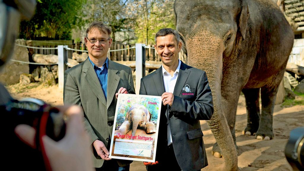 Wilhelma in Stuttgart: Die Elefantenwelt soll wachsen