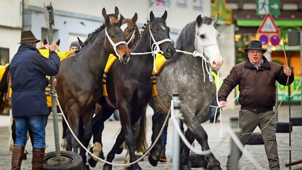 Leonberger Pferdemarkt: Der Tag der Händler und Hutträger