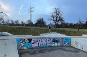 Sieben Skateparks, die sich lohnen