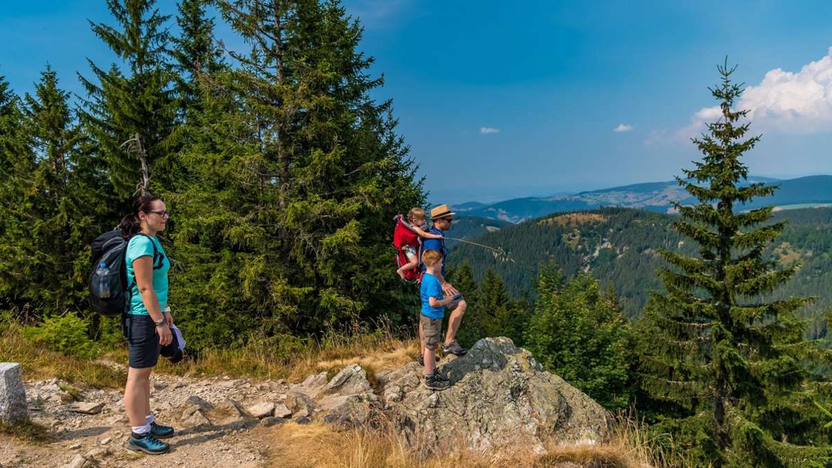 Deutschlands schönster Wanderweg: Doppelsieg für den Schwarzwald