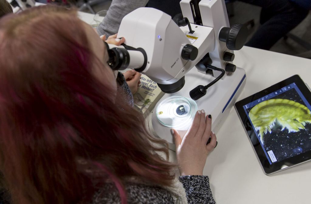 Digitales Klassenzimmer heißt das Projekt. Auf dem Tablet ist groß und deutlich zu erkennen, was die Schülerin unter dem Mikroskop betrachtet.