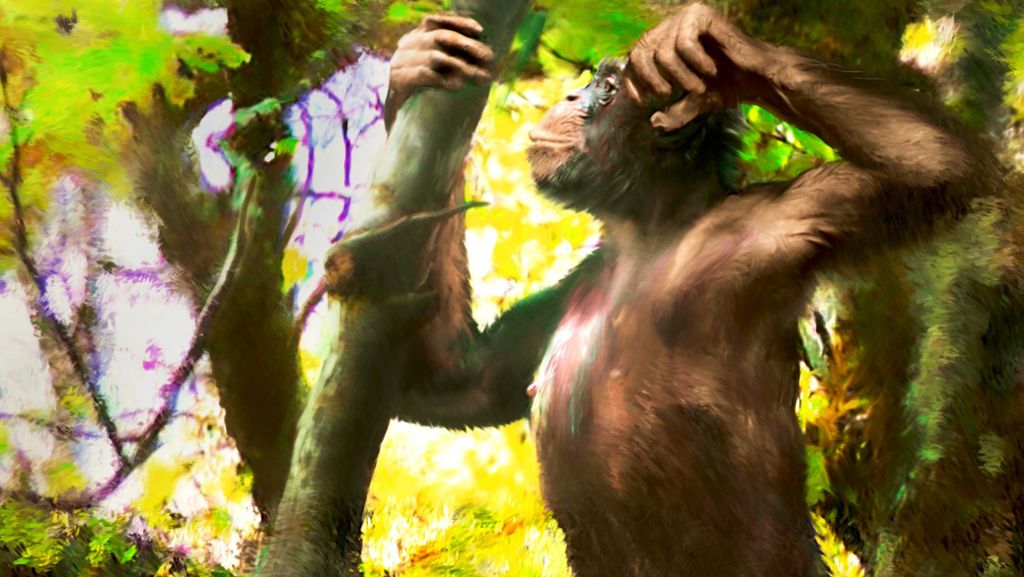 Evolution des Menschen: Ältester Vorfahr des Menschen lebte im Allgäu
