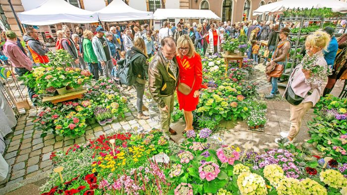 Esslinger Frühling: Jahrhundertealte Bücher, Streetfood und eine Altstadt voller Blumen