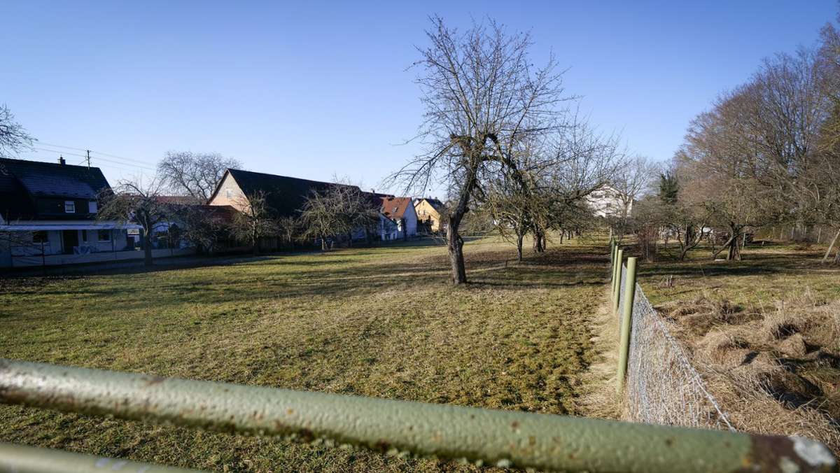 Wohnen in Ditzingen: In Hirschlanden entsteht ein neues Baugebiet