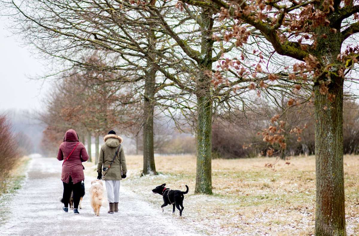 Ein Spaziergang im Schnee: Wintertag in Niedersachsen