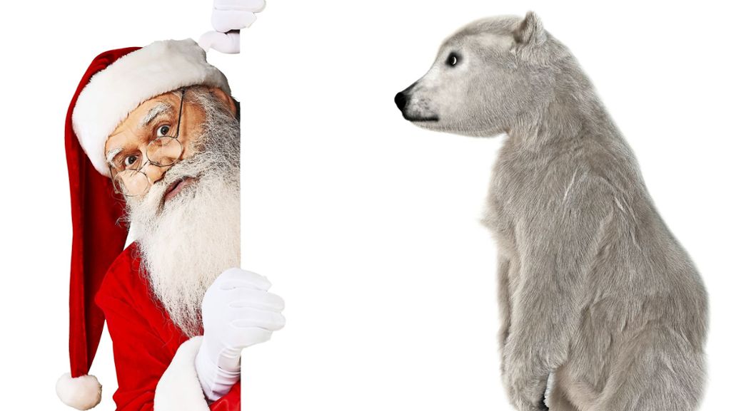 Reise-Weihnachtsgeschichte mit Eisbären: Es geht um die Wurst