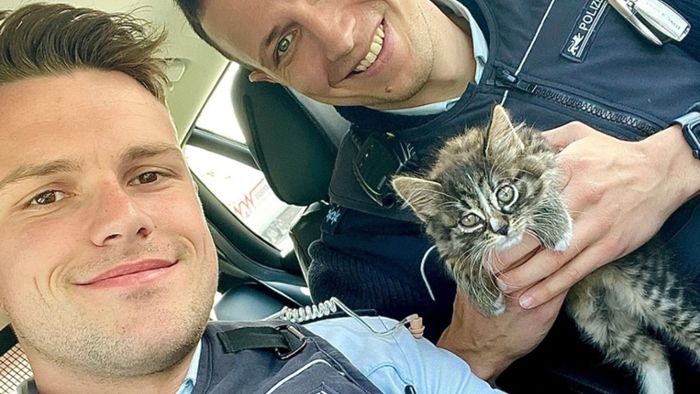 Polizei rettet Katzenbaby von Autobahn