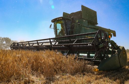 Weizen wird zur Waffe: Ernte in der Ukraine Foto: dpa